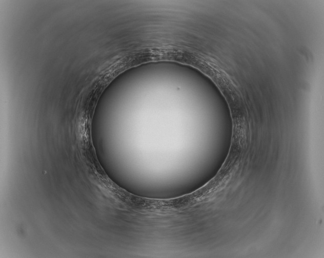 X0000113160770200909041254