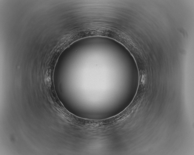 X0000113160771200909041254