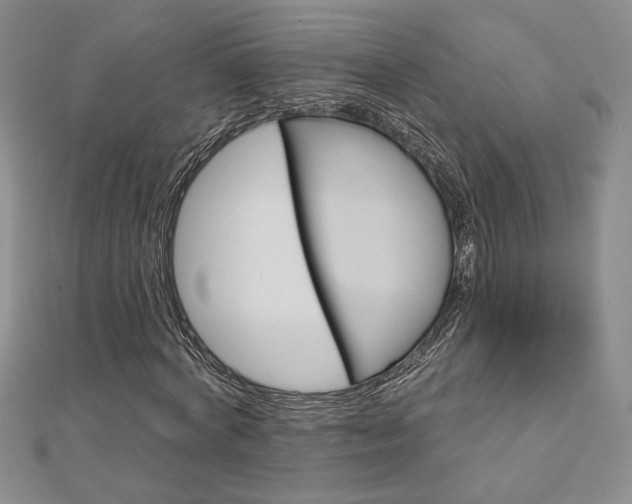 X0000113160772200909041254