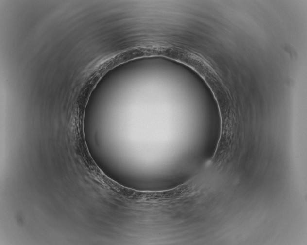 X0000113160773200909041254