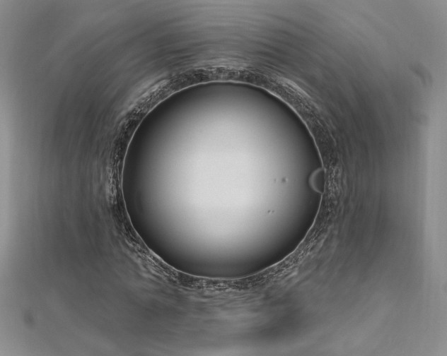 X0000113160774200909041254