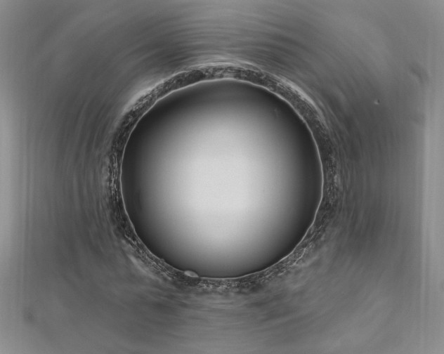 X0000113160775200909041254