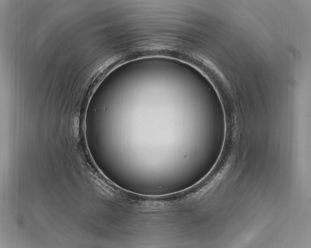 X0000113160777200909041254