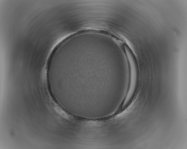 X0000113160779200909041254
