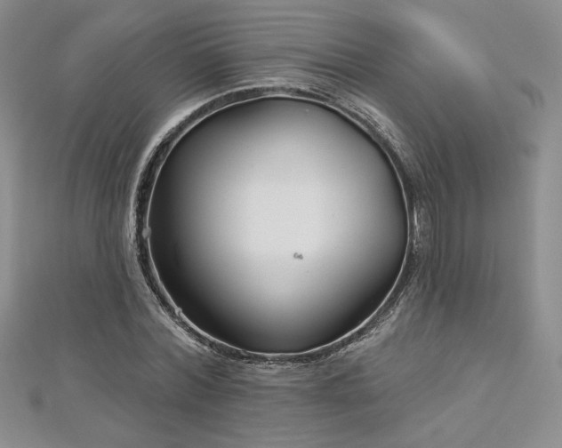 X0000113160780200909041254