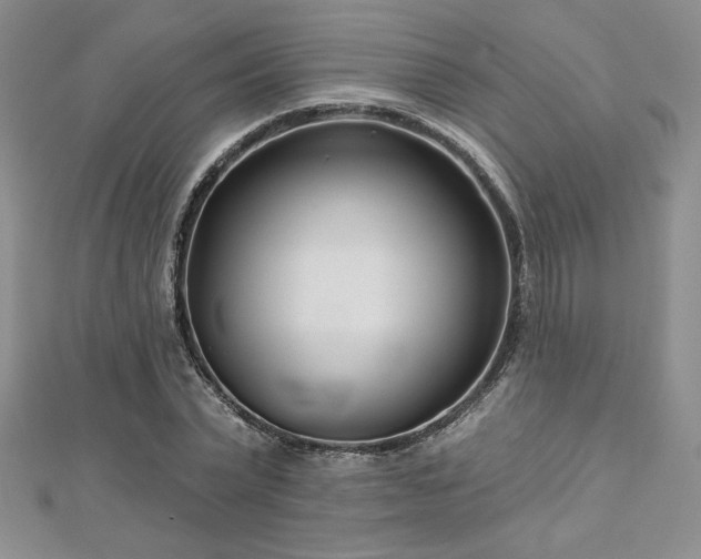 X0000113160783200909041254