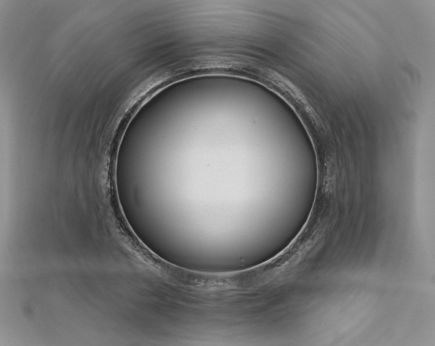 X0000113160786200909041254