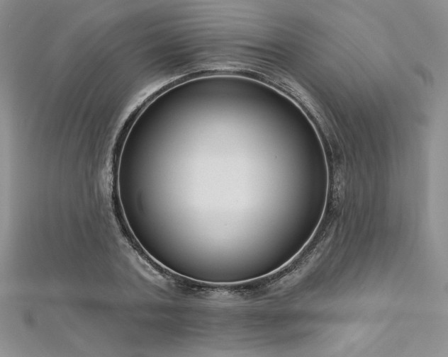 X0000113160787200909041254
