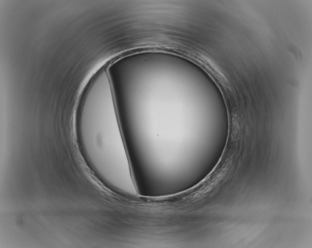 X0000113160788200909041254