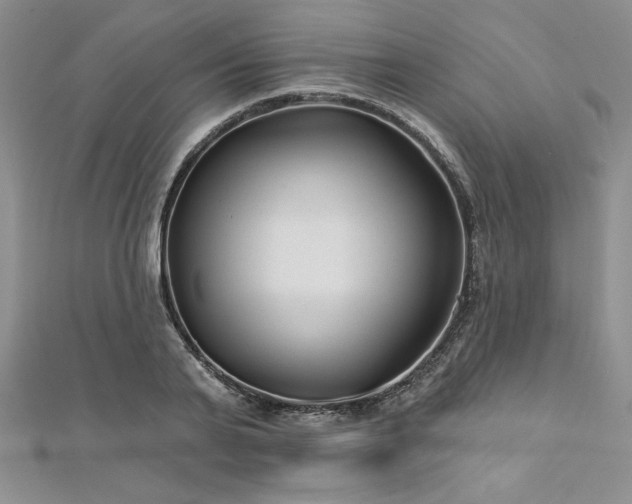 X0000113160791200909041254
