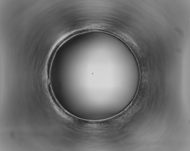 X0000113160792200909041254