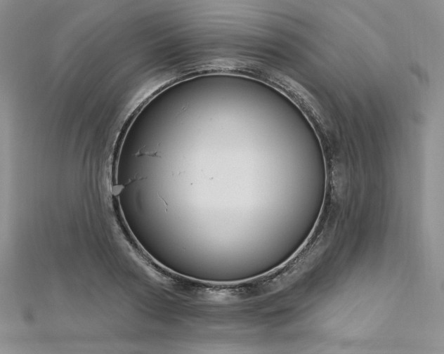 X0000113160794200909041254