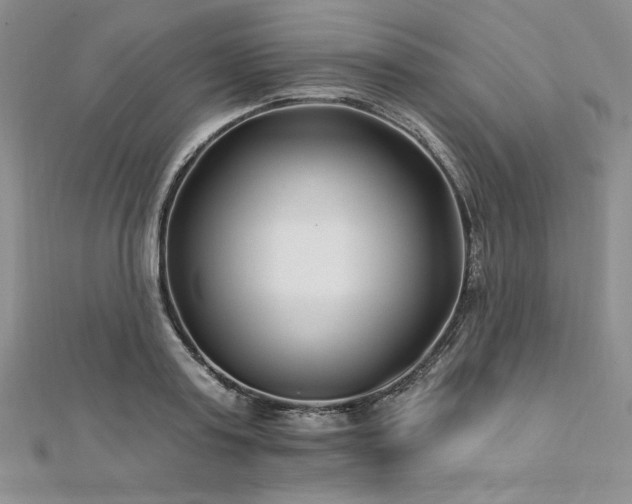 X0000113160795200909041254