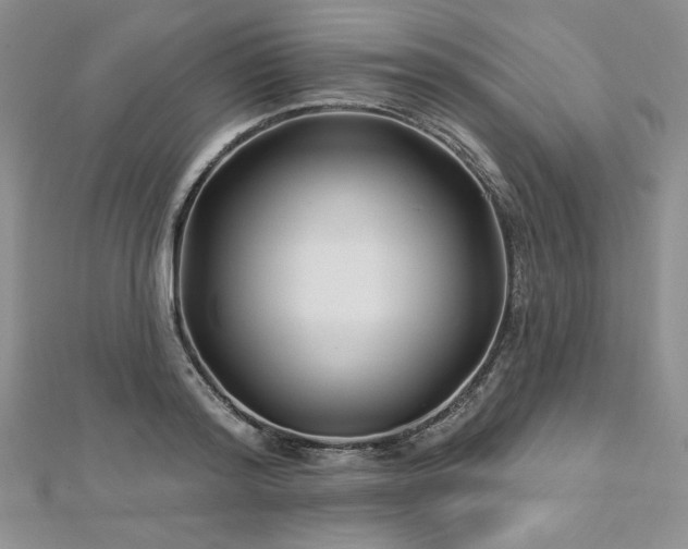 X0000113160796200909041254