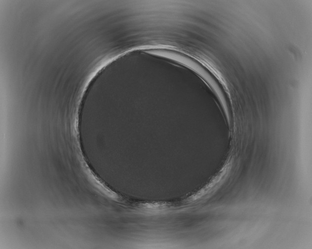 X0000113160797200909041254