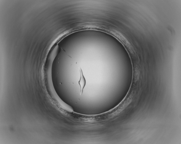 X0000113160798200909041254