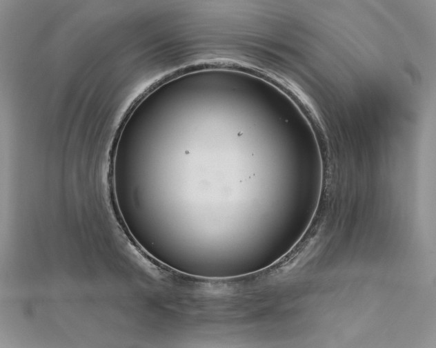 X0000113160799200909041254