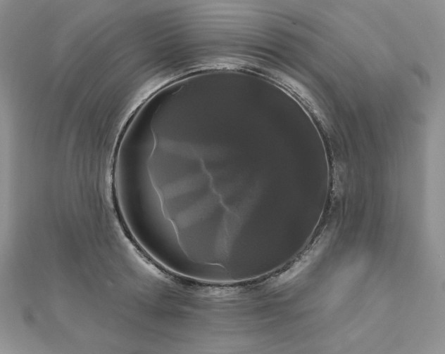 X0000113160802200909041254