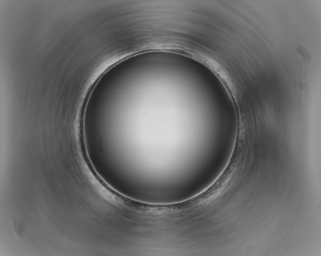 X0000113160803200909041254