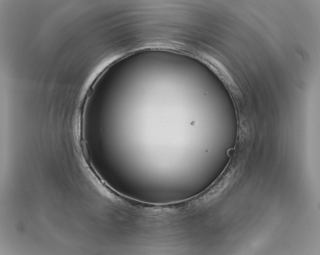 X0000113160804200909041254