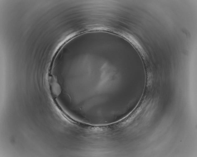 X0000113160806200909041254