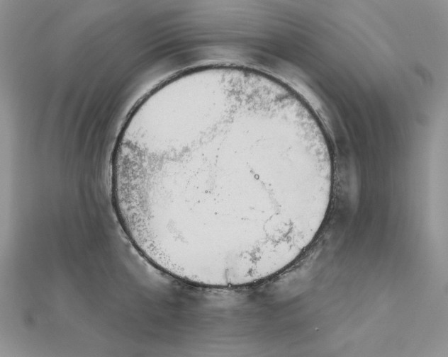 X0000113160807200909041254
