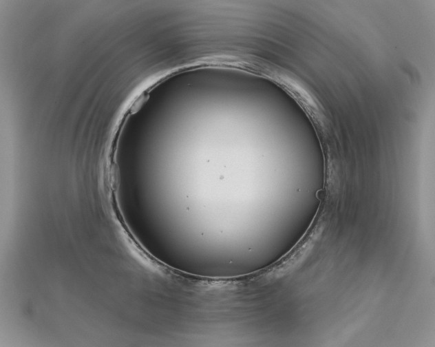 X0000113160808200909041254