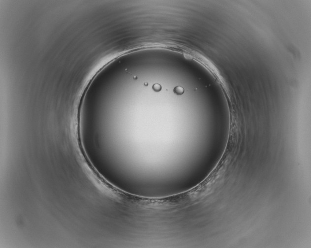X0000113160811200909041254