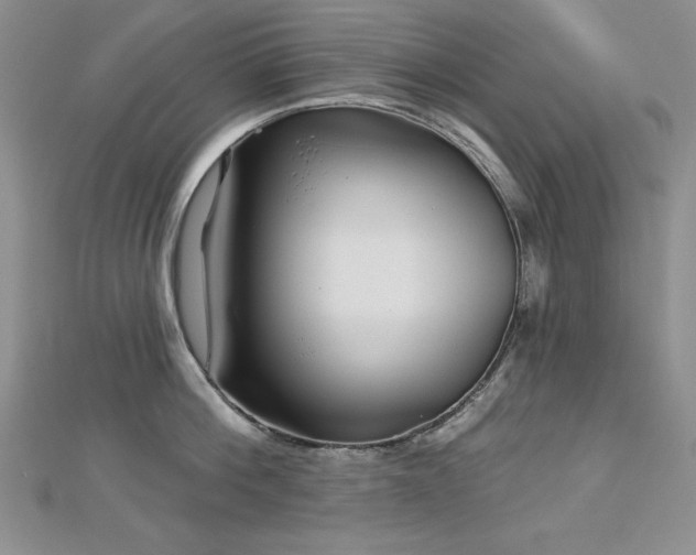 X0000113160812200909041254