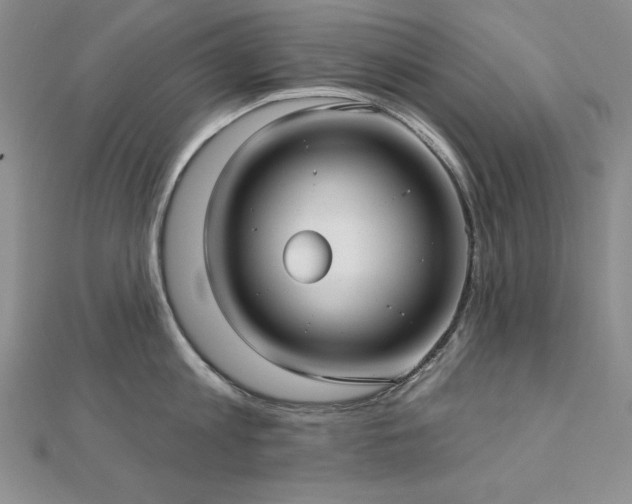X0000113160813200909041254