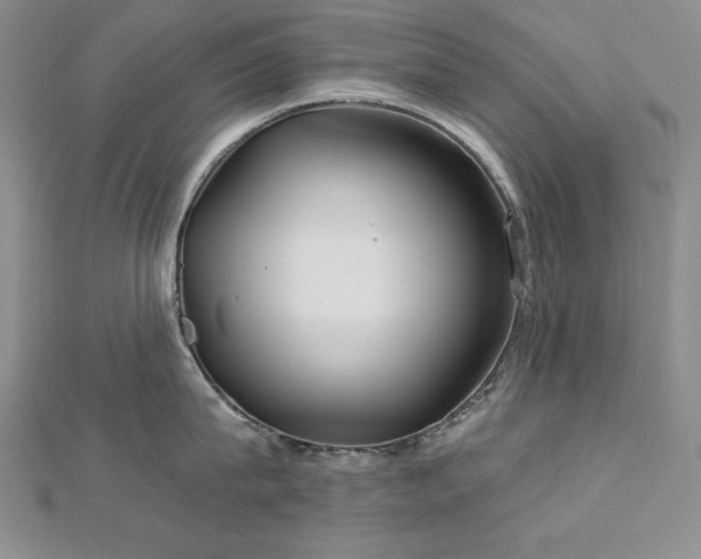 X0000113160815200909041254