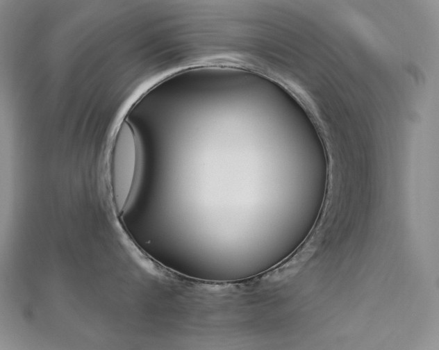 X0000113160816200909041254