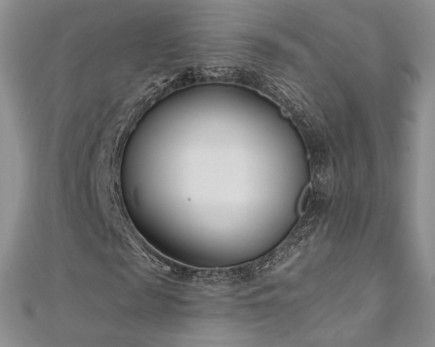 X0000113160817200909041253