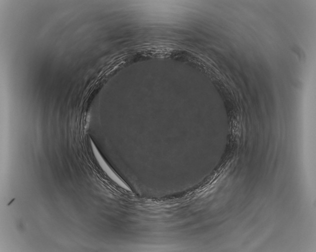 X0000113160818200909041253