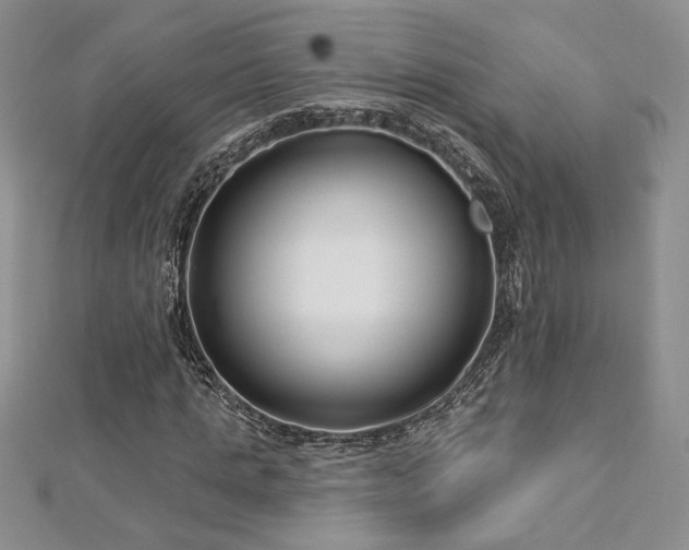 X0000113160821200909041253