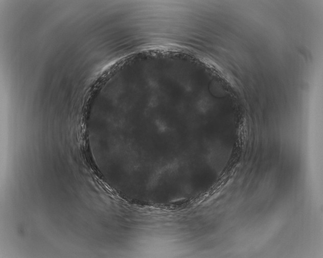 X0000113160822200909041253