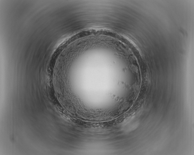 X0000113160823200909041253