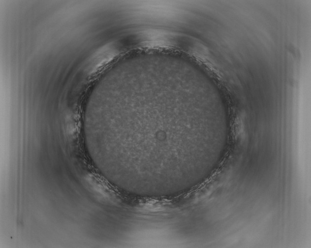 X0000113160824200909041253