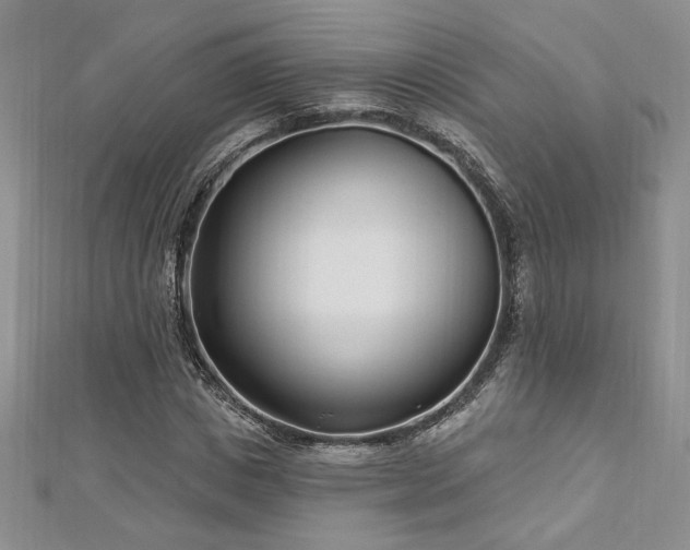 X0000113160825200909041253
