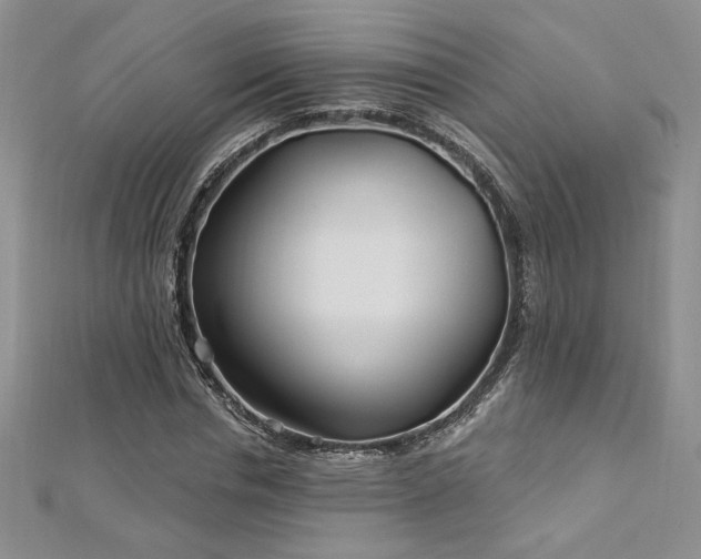 X0000113160826200909041253