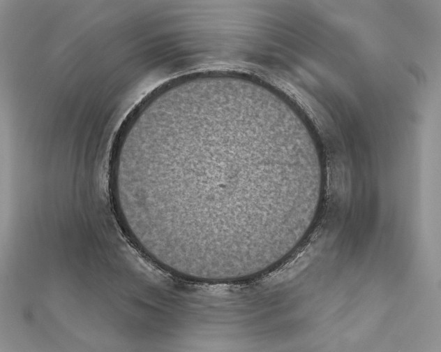 X0000113160828200909041253