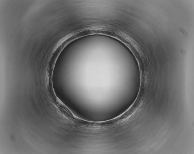 X0000113160829200909041253