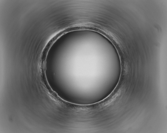 X0000113160830200909041253
