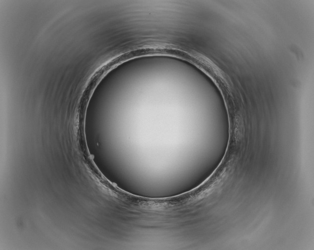 X0000113160831200909041253