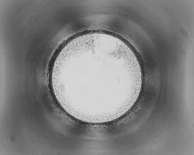 X0000113160832200909041253