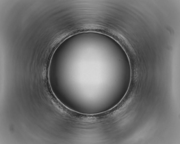 X0000113160833200909041253
