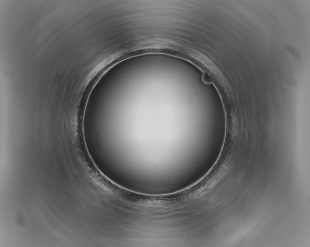 X0000113160834200909041253