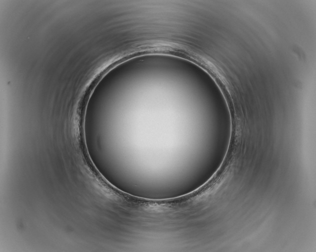 X0000113160835200909041253