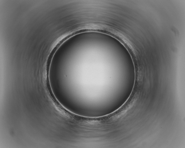 X0000113160837200909041253