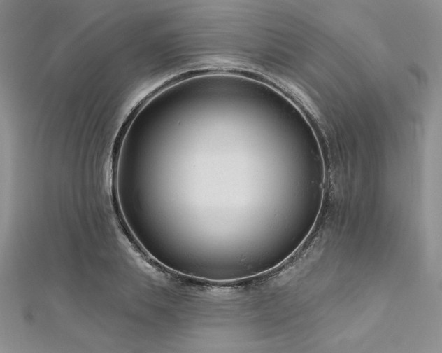 X0000113160839200909041253
